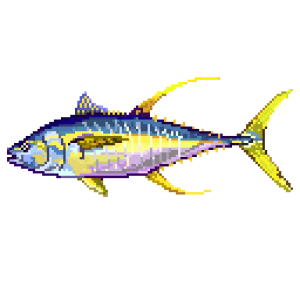 Yellowfin