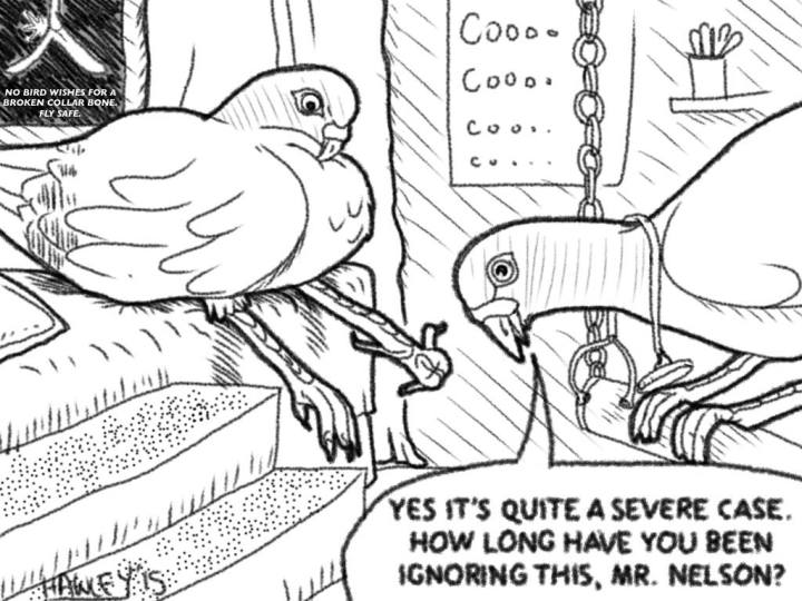 An uninterested pigeon sits on a hospital bed showing its damaged foot to a pigeon doctor sitting on a bird's swing. The doctor pigeon is expressing concern about the foot and asking how long the patient has let it go for.